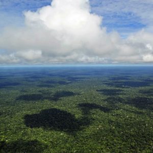 Amazon rainforest, Brazil