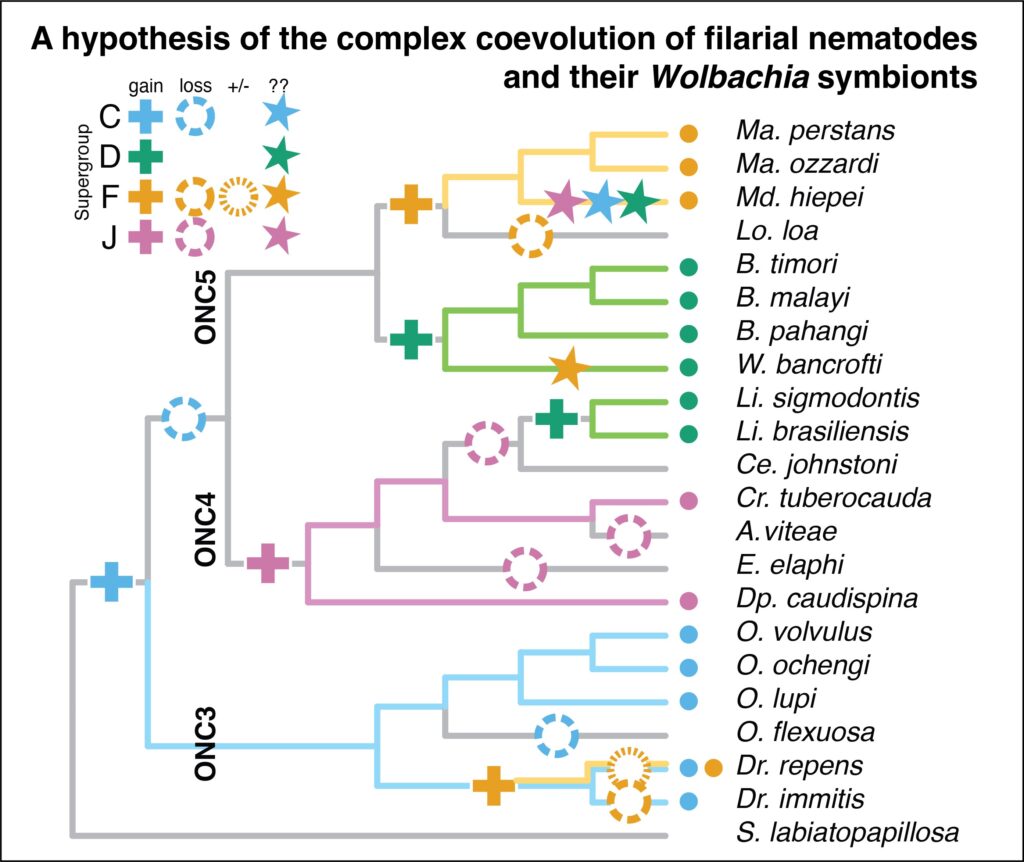 graphical abstract