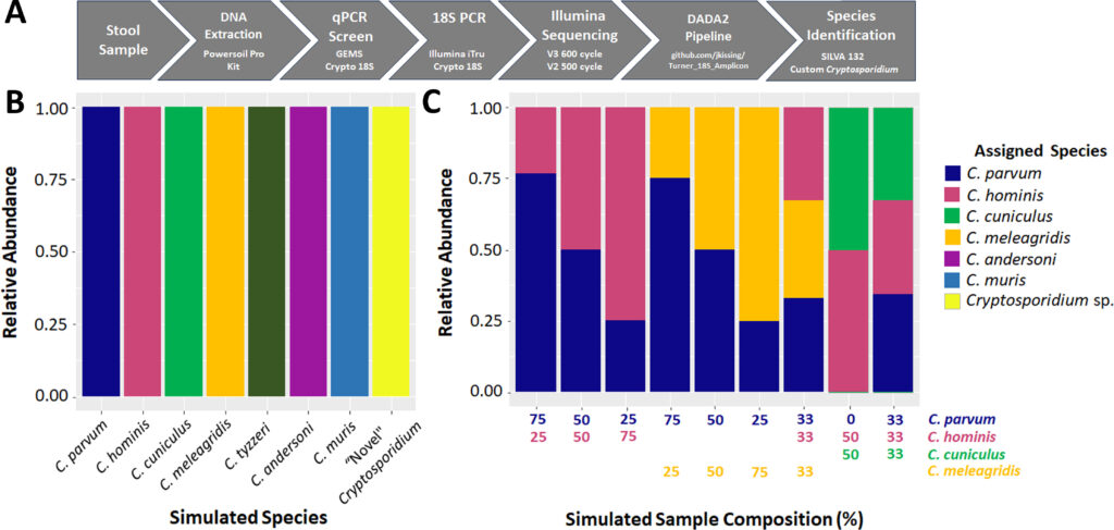Fig 1 Cryptosporidium species identification using 18S amplicon sequencing.