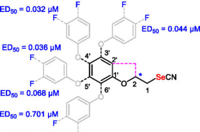 cmdc70113-blkfxd-0001-m graphical abstract
